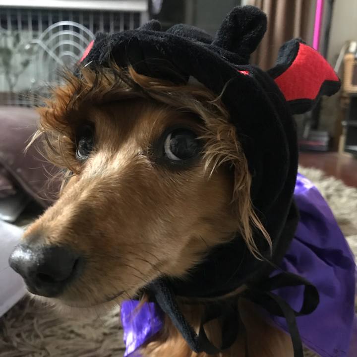 C0f648a0 243f 4a6e 87db 1c92ed1299c8 1540937295600