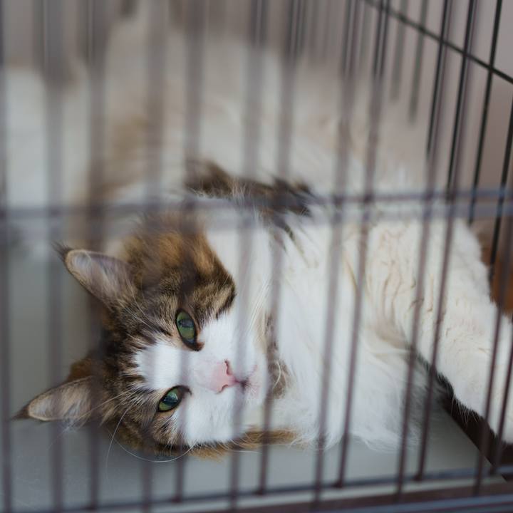 C0f66e42 dd93 4a81 827d 6e1edb0c6d58 1754290553063