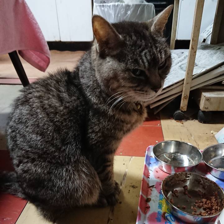 C0f67603 8256 4cf2 8161 e153e82c5877 1553982219327