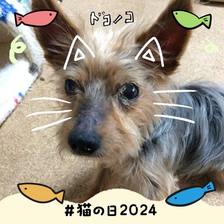 C0f67aac 41af 4f55 baf1 46336b964936 1708558349335