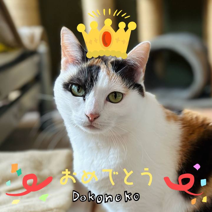 C0f6b545 a02a 457a 96cc b91fb98fe6bb 1685932462543