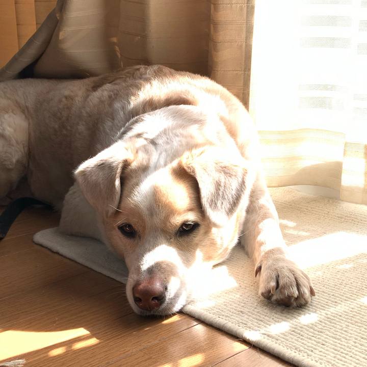 C0f6d5f5 335f 42ec 93fd 520070c687d6 1581216268810