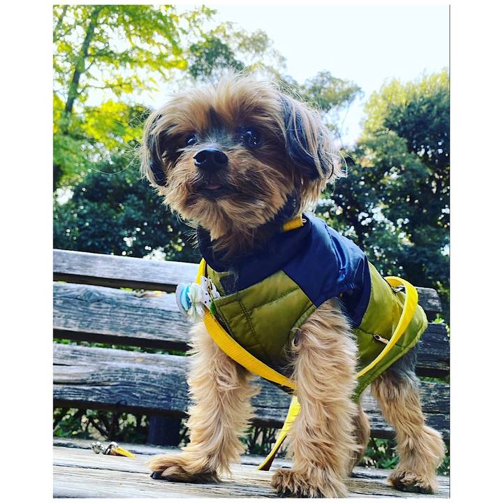 C0f6ed6e d360 4d7f 9169 9157f3daa9ac 1667390863119