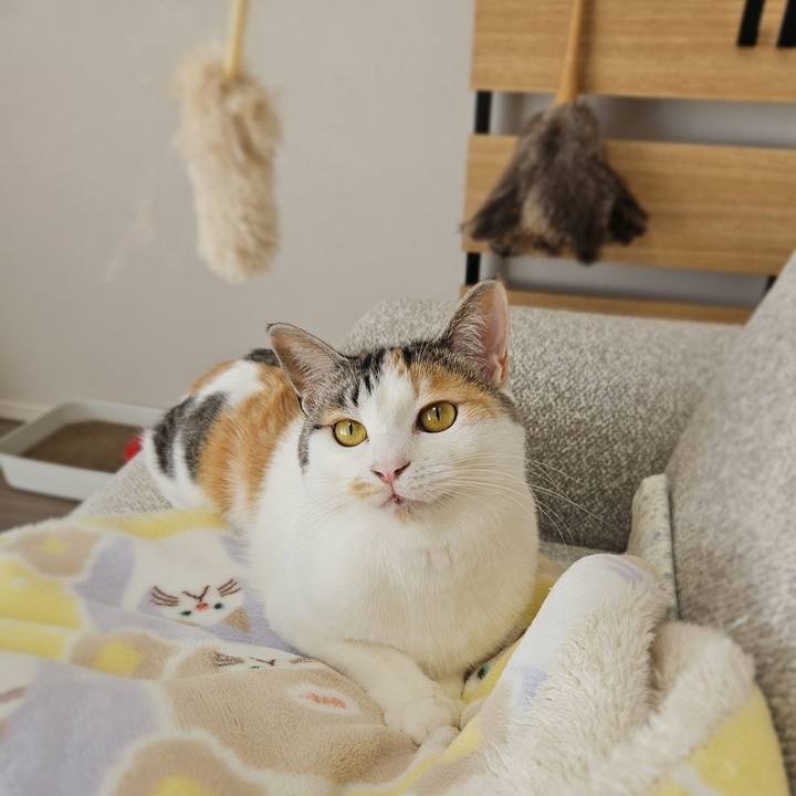 C0f6f945 c9b4 4376 89cd 9b9db293a1eb 1773470368828