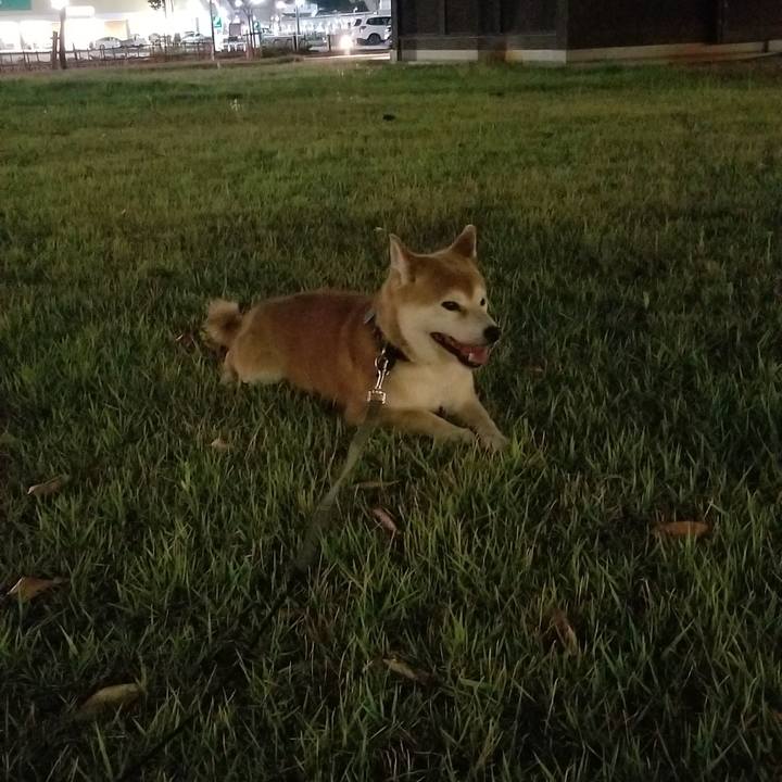 C0f6fcdc 3715 4961 bcf8 fd1ae5b8a84c 1532516592976