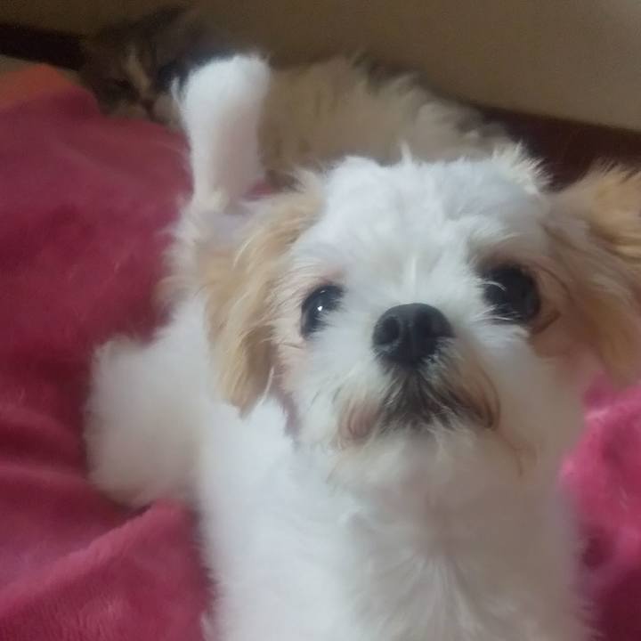 C0f71d64 9e54 4614 97f3 e1ec007fdd69 1688810523691