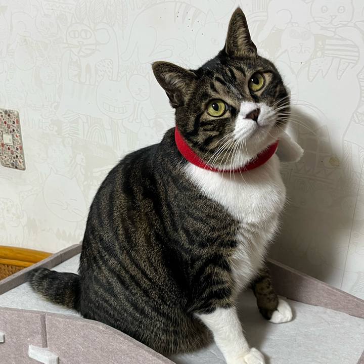 C0f7383d 8d97 475c a084 d95e191aa39a 1767150797609