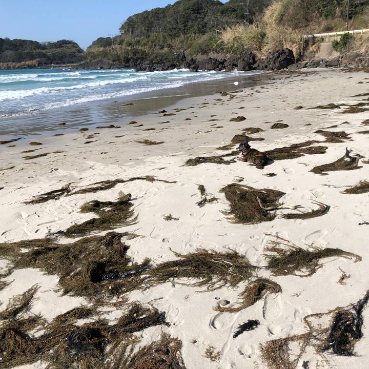 C0f75420 3727 48fd a11a 0ee111709b07 1615903470056