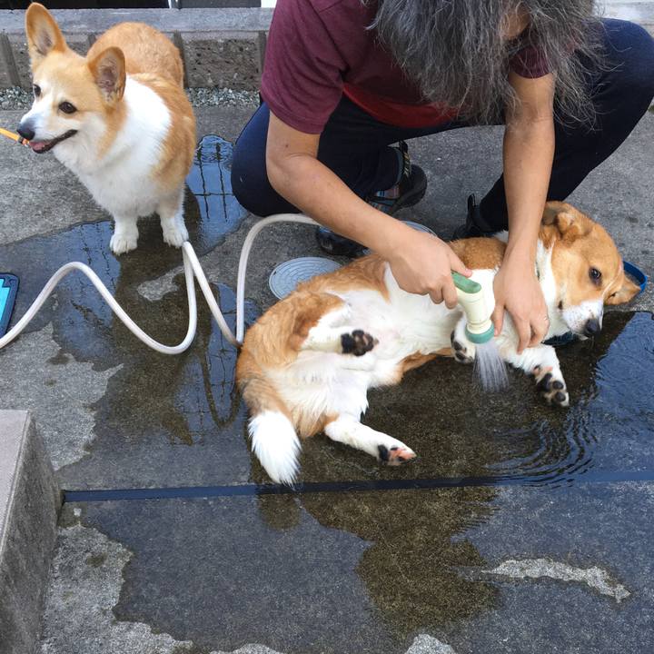 C0f75e13 37d0 4c44 8baf 2e54086a87c5 1601335752129