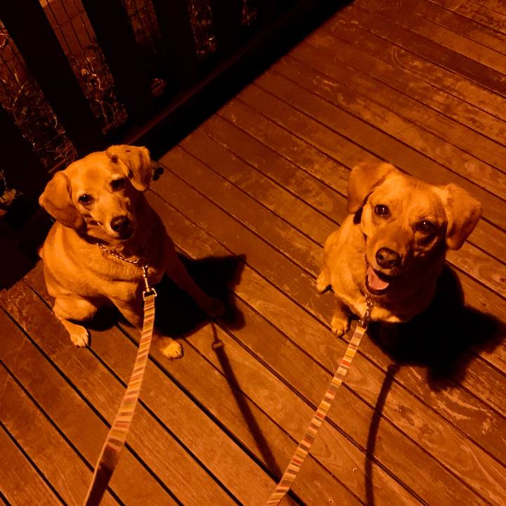 C0f76a78 a2ef 4177 998a 2d0baebb0369 1619779602889