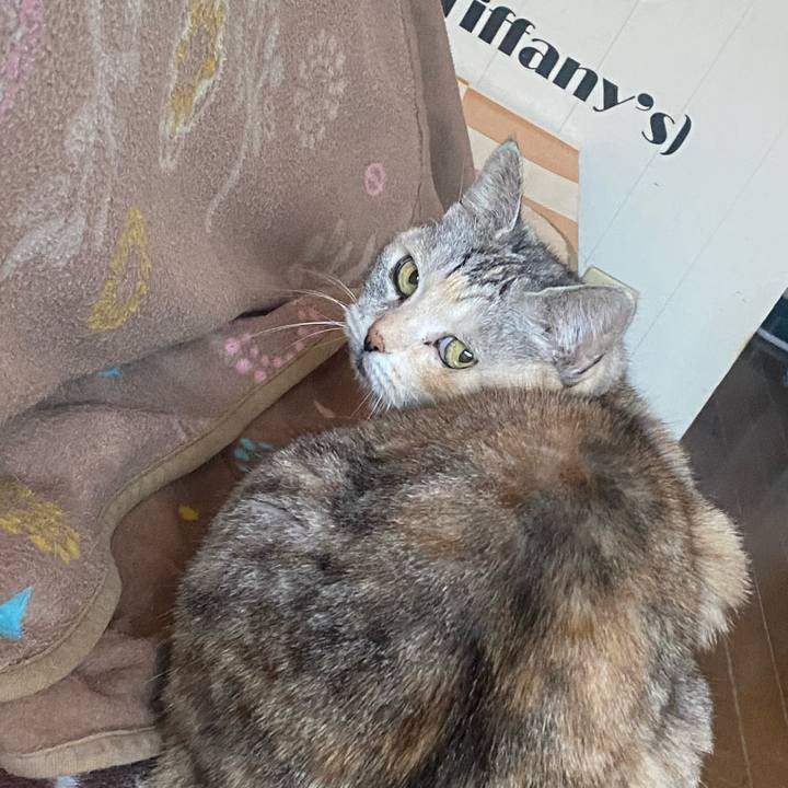 C0f77c63 e109 4d88 b217 5a13a459d8ca 1739258611071