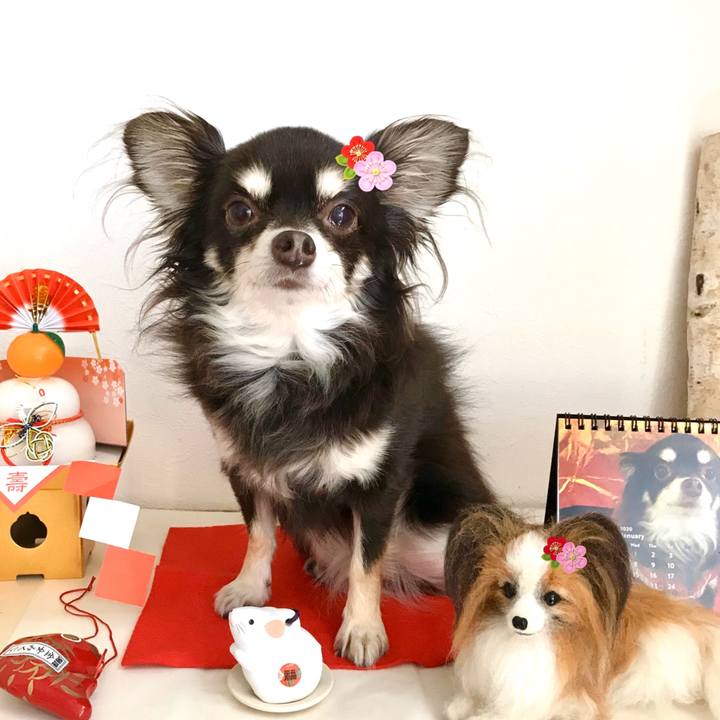 C0f78be0 357c 4d23 be50 777706ff07dc 1578021477375