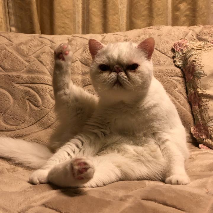 C0f78def 66a8 4368 8eec 1afe5120a174 1668775326163