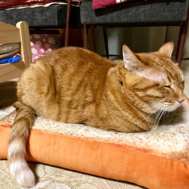 C0f7d5ab d5f8 496b 9f5f 2dc06b64bae2 1550150409613