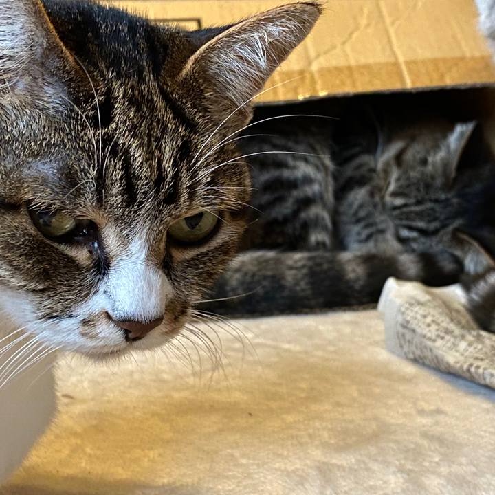 C0f7db83 8cb7 4431 a9ff d79f7fcf04a3 1577342844268