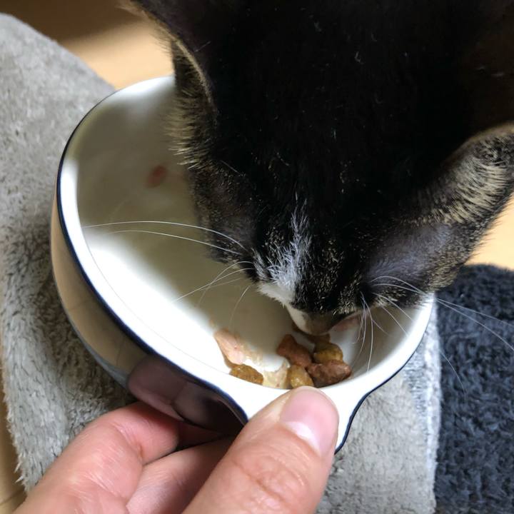 C0f7e9f2 fa3c 4b26 8007 b0ddcb42ae13 1547648226202