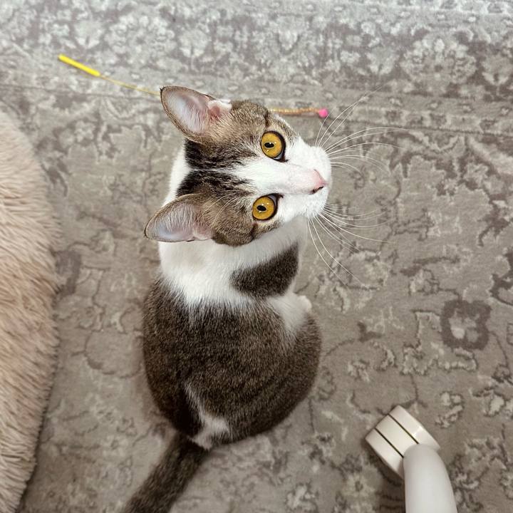 C0f8101c 8964 47cd 9b50 bd23b8ac9ced 1775965322002