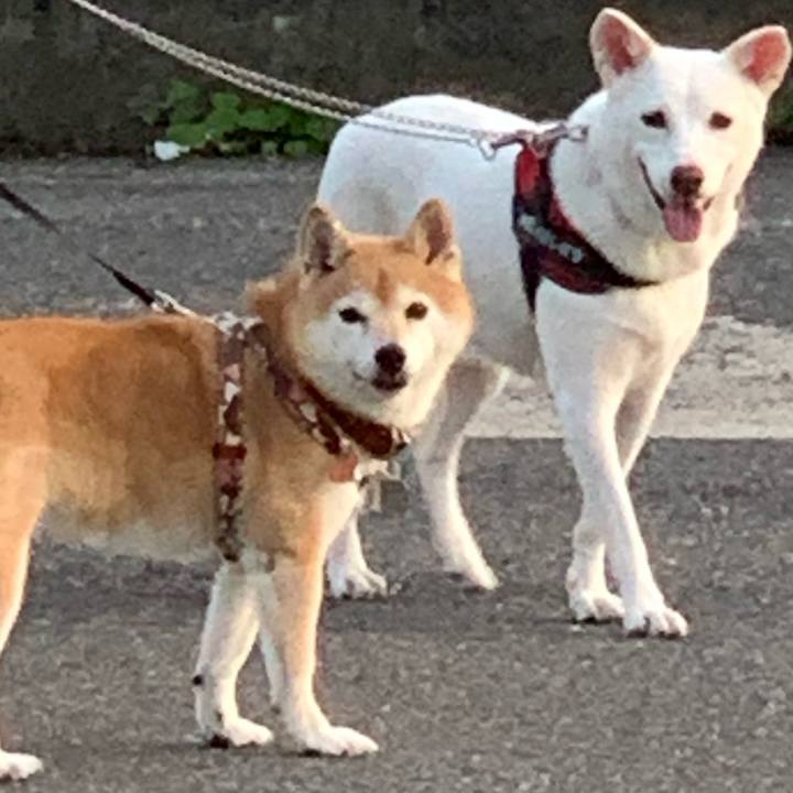 C0f818a5 0804 45df a7fe e904ee9c02be 1662975291393