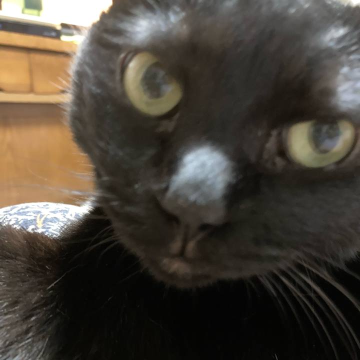 C0f8587a 02f9 472d 8655 b236e43a08bb 1727864579705