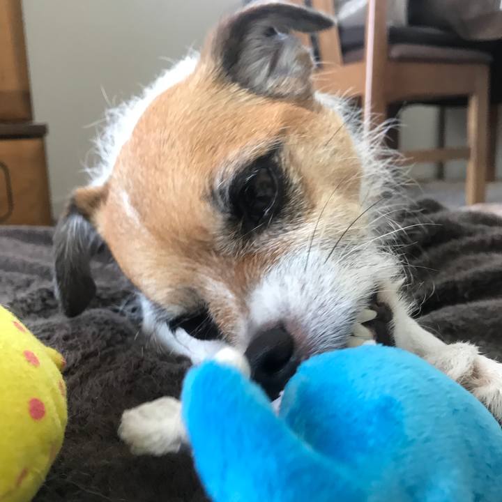 C0f86332 71f0 446f 8a79 40a8817f2a2f 1531184235197