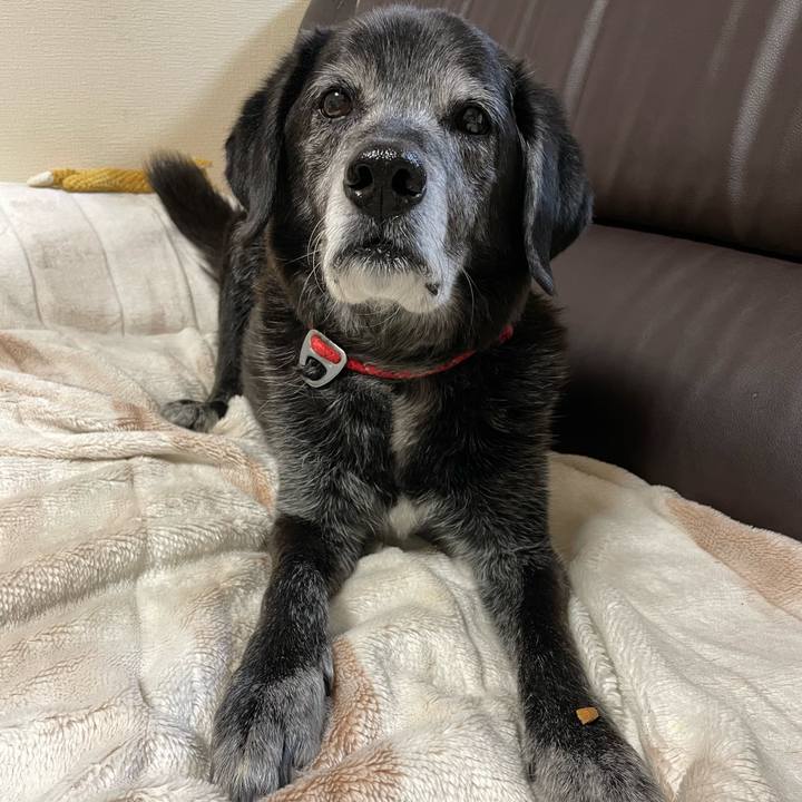 C0f86a4a 0c84 449e 9e4b f2e5c487d816 1770202744851