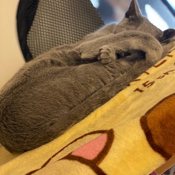 C0f87410 1587 4217 933b a515694d29bd 1612672455883