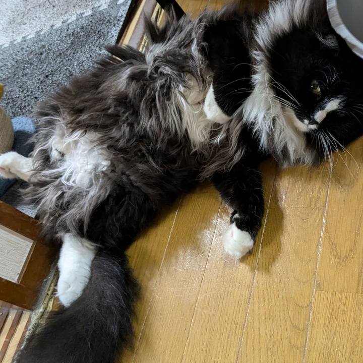 C0f89850 6b03 46da 8625 23ecc569defe 1722601841478