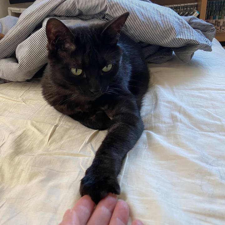 C0f8bc92 3673 4480 a3f0 51ec79aad3e1 1685802192523