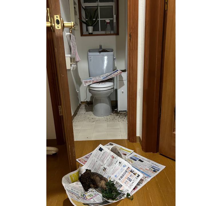 C0f8bceb dff8 422b 8ccd 875511a987cd 1671618016290