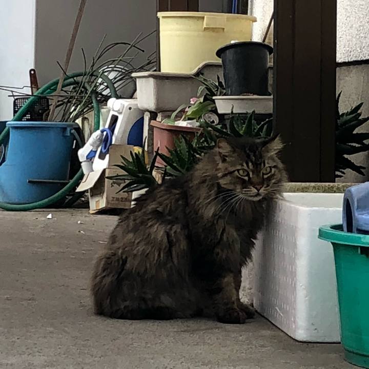 C0f8ed6e 0f7c 4c60 9fae 6ba1e2c7a9fe 1527497819428