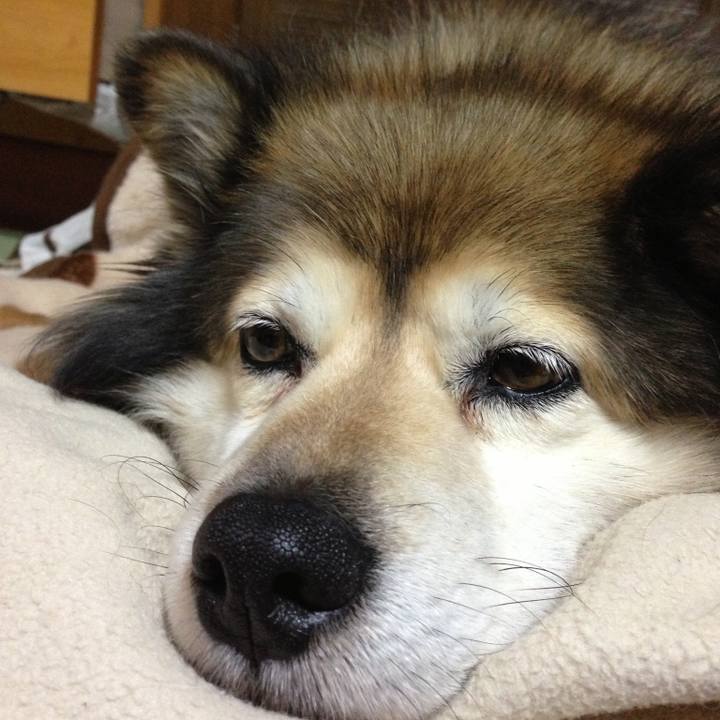 C0f8ed81 4443 405b 97a1 6821d3ab91ca 1611974052374