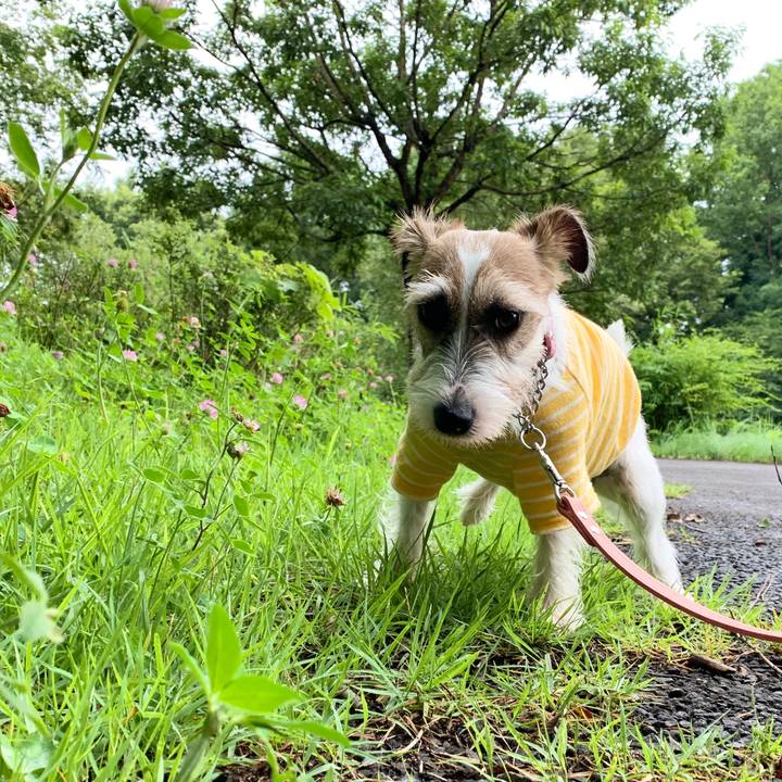 C0f8f2a5 b757 44f5 bfa3 1348ecad7fb0 1594861544079