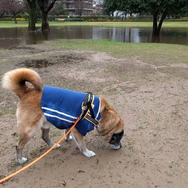 C0f90689 489b 4cf3 84b1 89f1b3e18a1a 1521677353965