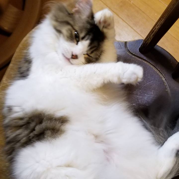 C0f91251 0b67 4603 bdd5 18d711d5bcbd 1565355204040