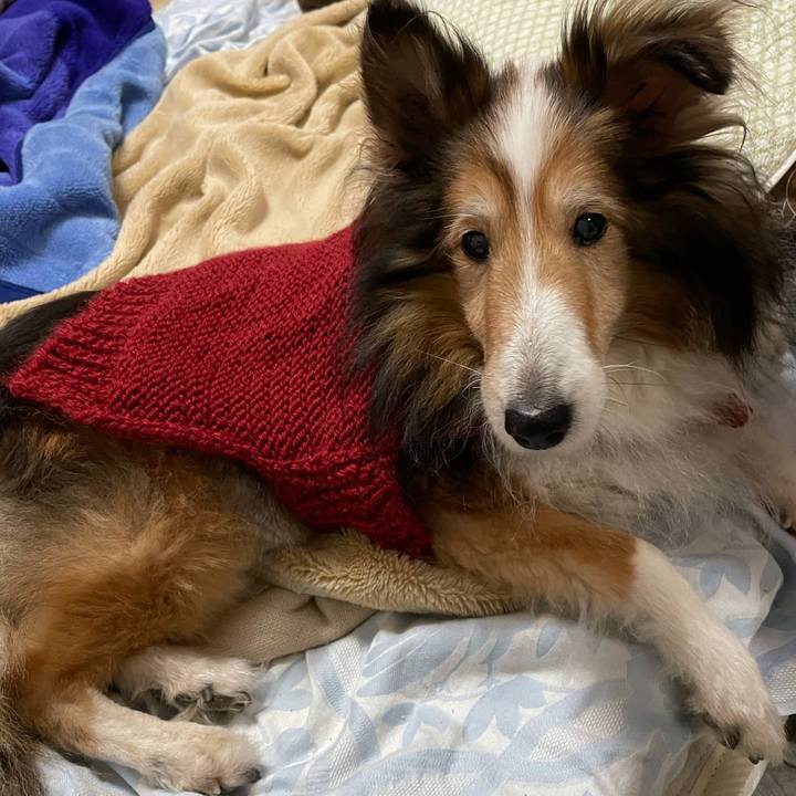 C0f91732 921f 4bcd b8f1 eb752f12c551 1610359343492