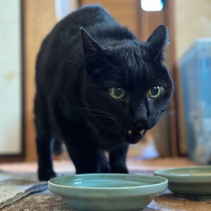 C0f953c4 b2f6 46f9 9689 99c6c223c803 1673147613427