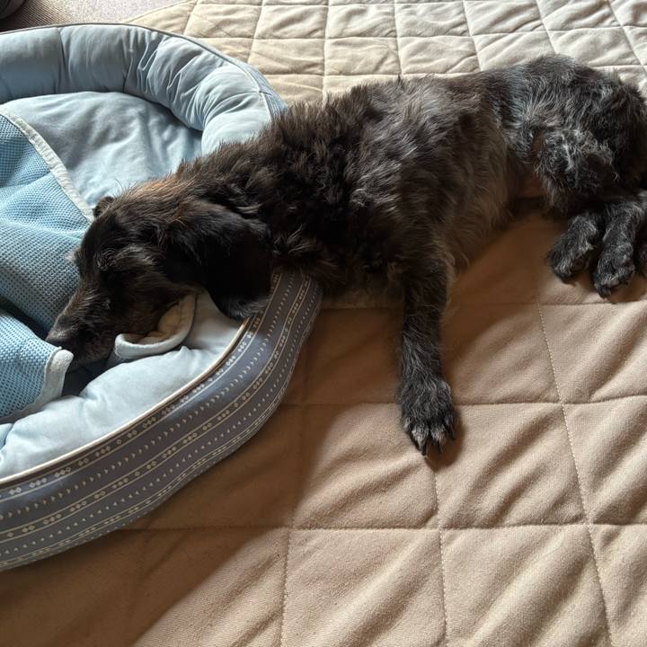 C0f99808 7378 4d66 8e21 c77f0edbba55 1755731646303