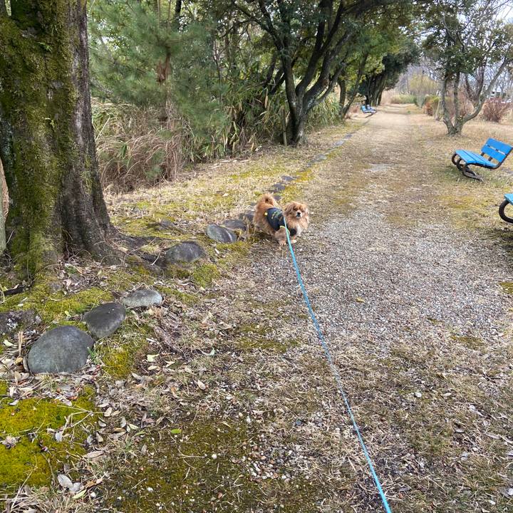 C0f9ab54 ce83 4cff 824f 8f30342f3d82 1644713152619