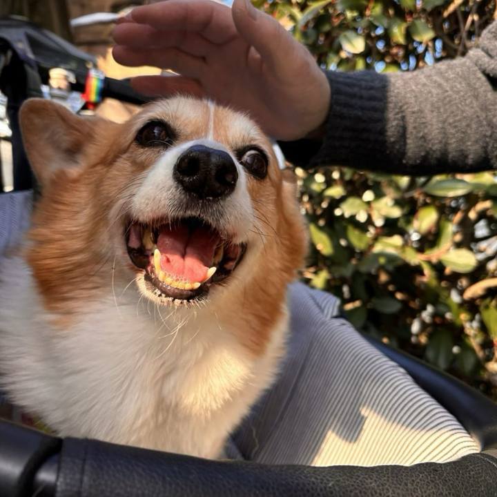 C0f9e42b 1a2a 411e 8f4c 4379f2c06670 1767492629425