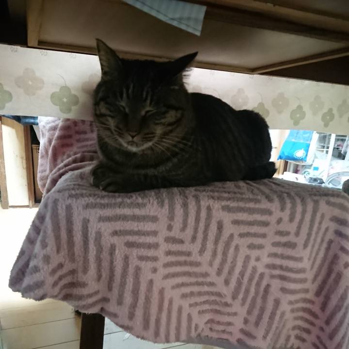 C0f9e6c6 9cd1 47c9 b1e3 bd8e7eac97e8 1641591017612