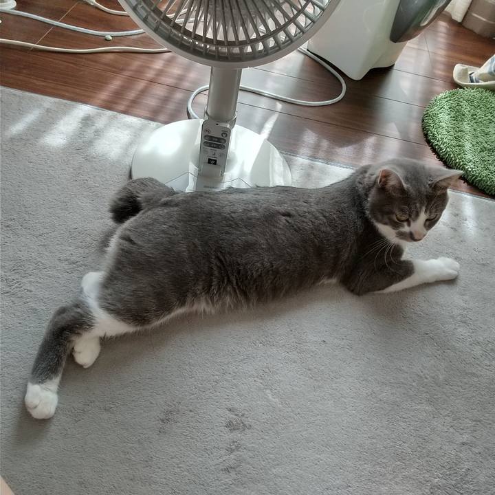 C0fa1442 534a 4982 872f 1508e11d501a 1599541415025