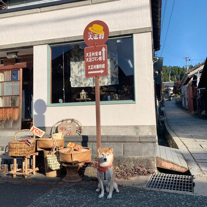 C0fa2dce 8f18 4f10 93b2 55616a829dfd 1573378311929