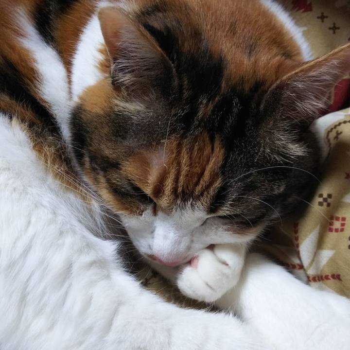 C0fa32f2 2e77 4f4d 8041 7b8afd1fdc42 1557584050107