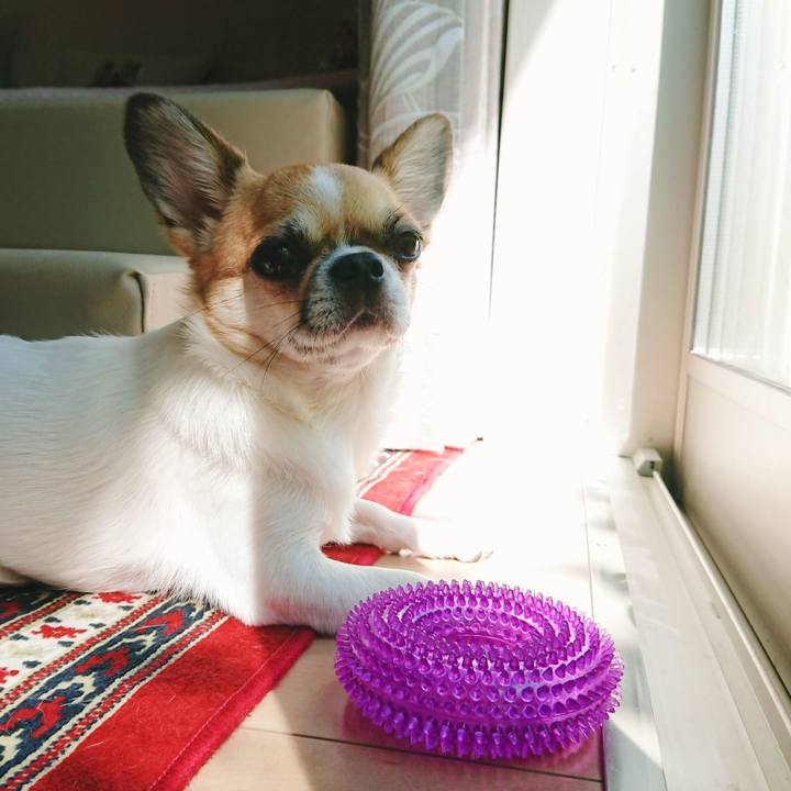 C0fa4ff6 e383 4e3c 9a7f c05e863f8741 1597901832480