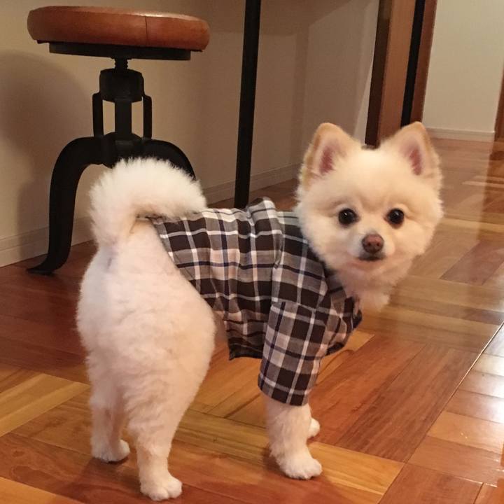 C0fa895d f876 4c6e 96f3 eaaa499fe12b 1548678782770