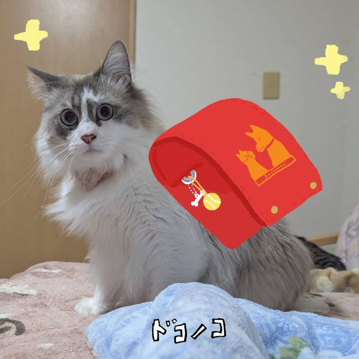C0fa9e4c c01b 4647 9a75 33fb3017b27d 1744490671789