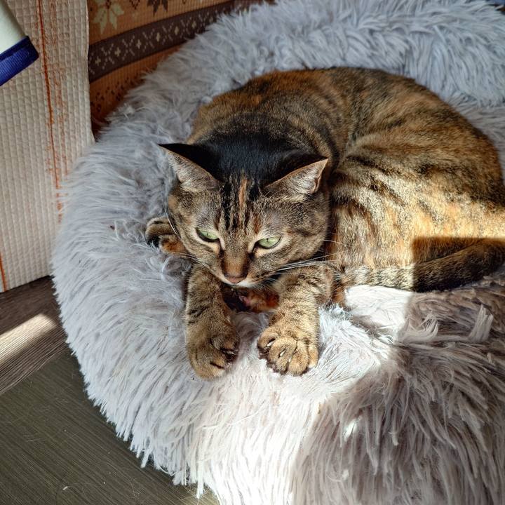 C0fb4a57 4ea7 4d34 8141 7488880bac56 1764560371597