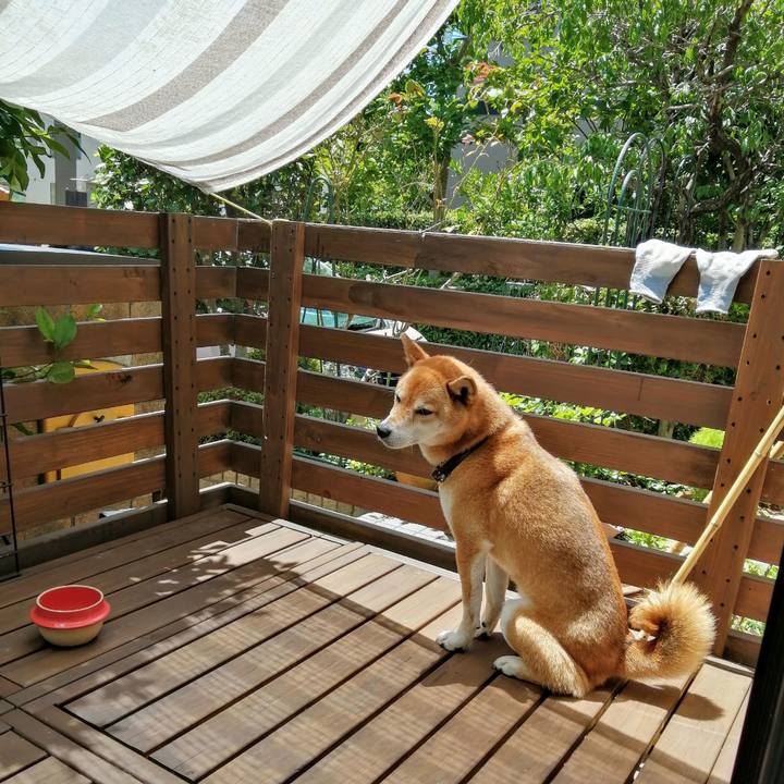 C0fb5baa 3839 4097 b90f de318a4e8d8c 1627964946822