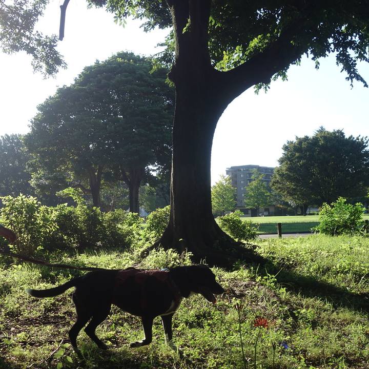 C0fb6d08 6349 4425 83db e9036d0686ac 1695080879109