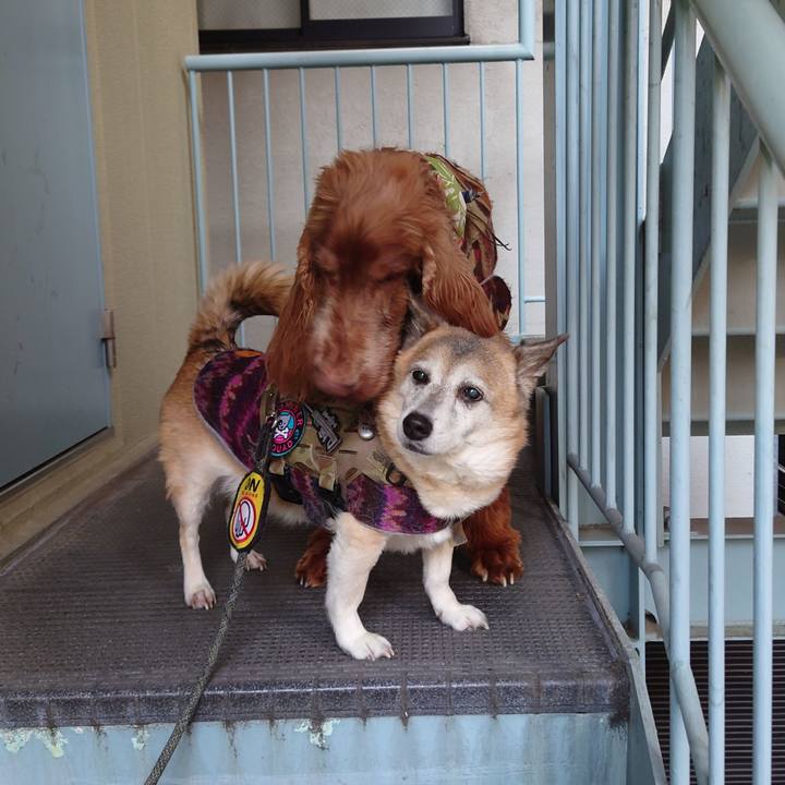 C0fba3da d3ea 4ace b743 70f6ac9d7257 1674977847036